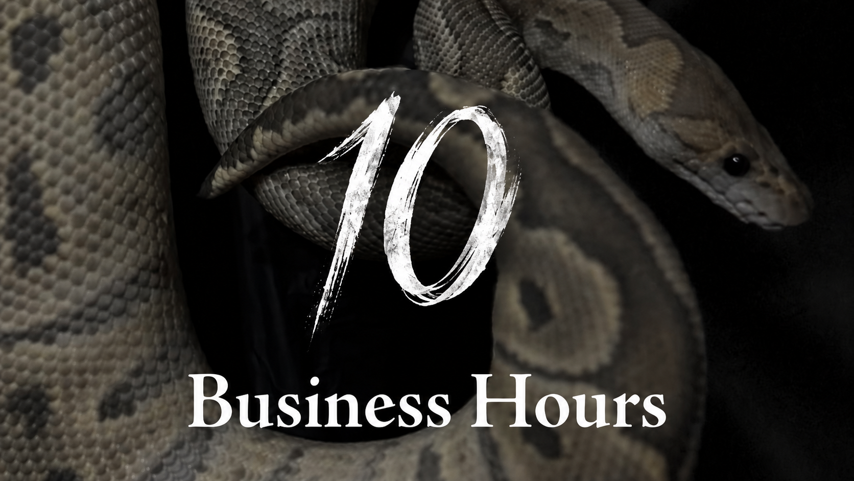 THE STOA. 10月 Business Hours