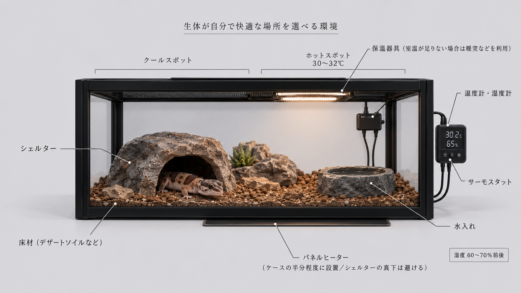 ニシアフリカトカゲモドキの飼育環境例。温かい場所と涼しい場所を設けたケージの配置図